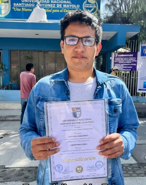 diplomados y especializaciones peru a distancia, unasam, unt, san marcos